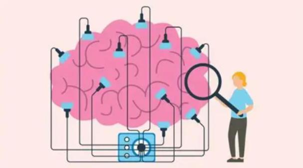 The Brain’s Superpower: How Experience Shapes Your Mind