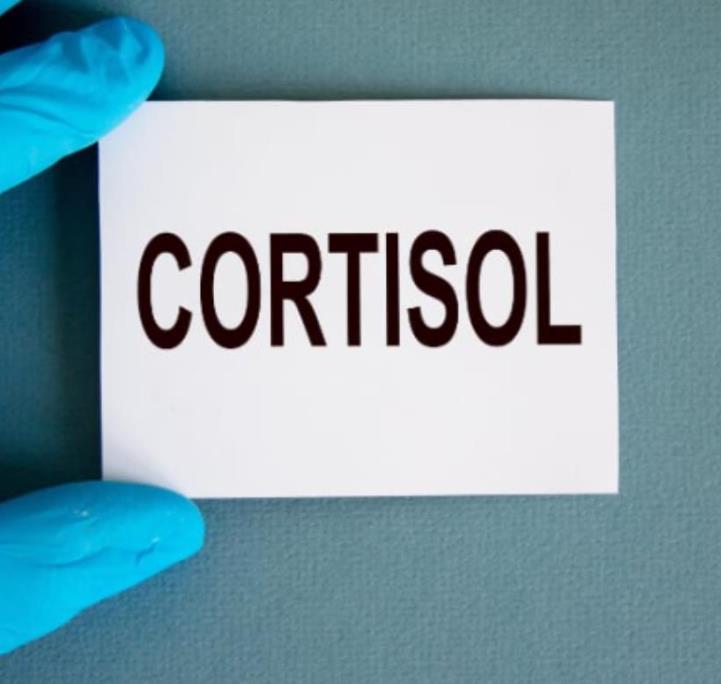 Stress Response and the Role of Cortisol in Health
