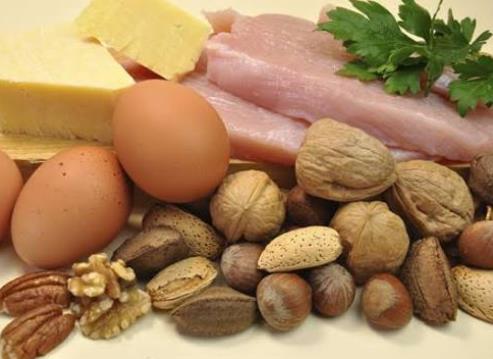 High-Protein Living: How Much Protein Do You Really Need Per Day in 2026?
