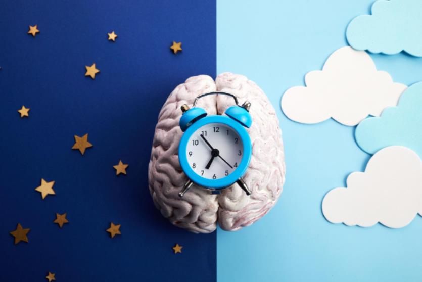 Circadian Rhythms: How Sleep and Daily Routines Affect Health